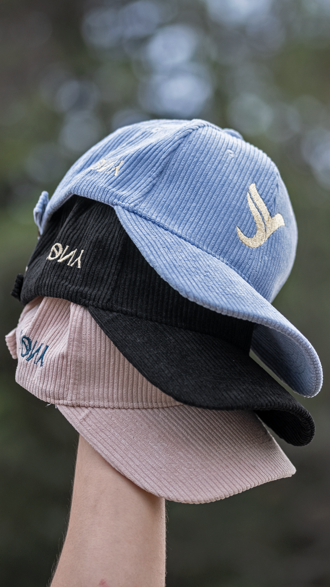 CAPPELLINO CELESTE KY