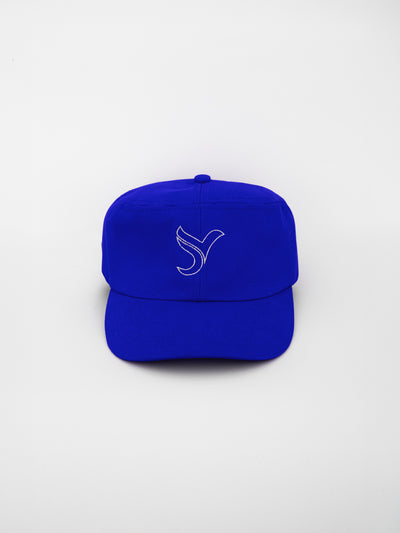 Blue flat cap